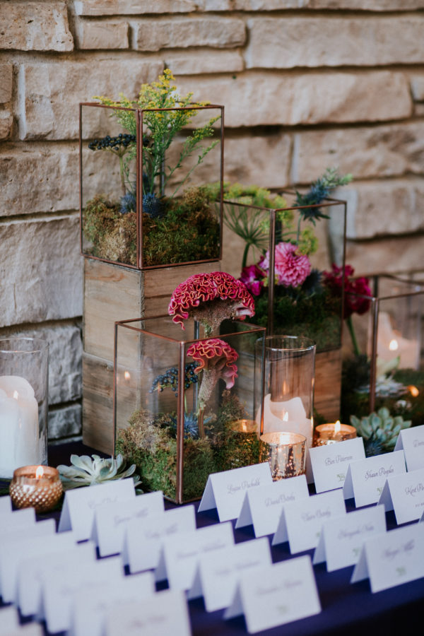 Peggy Notebaert Nature Museum Wedding