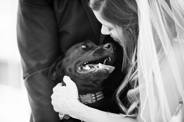 Jenny + Greg | Downtown Chicago Wedding