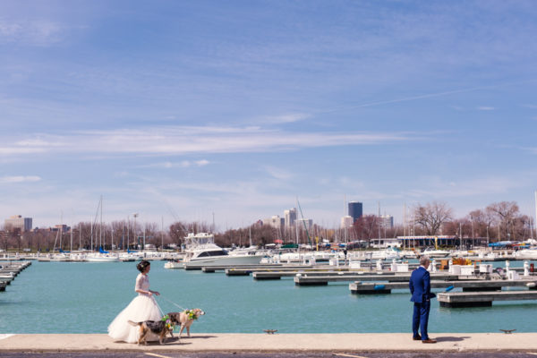 First look Montrose Harbor
