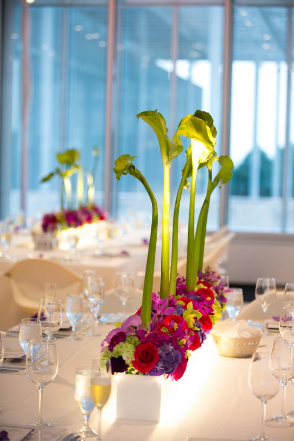 chicago-skyline-downtown-weddings-venues-planners-engaging-events-by-ali