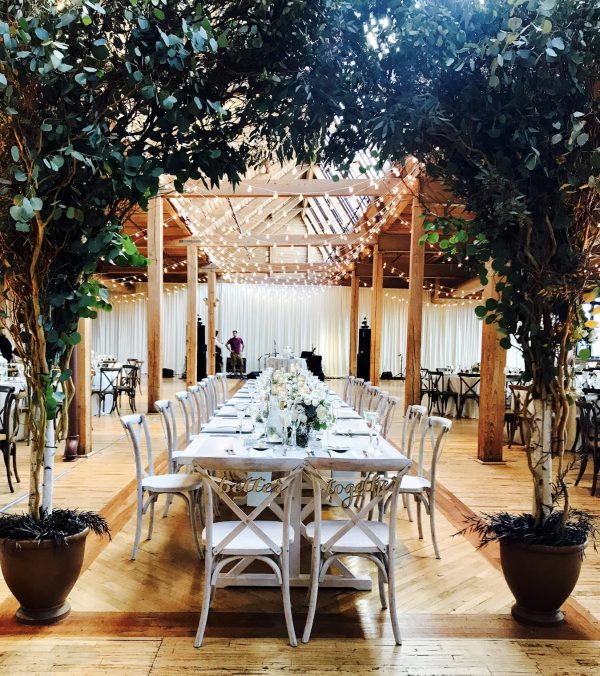 globe lights throughout + branch Arch + extra wide fabric backdrop