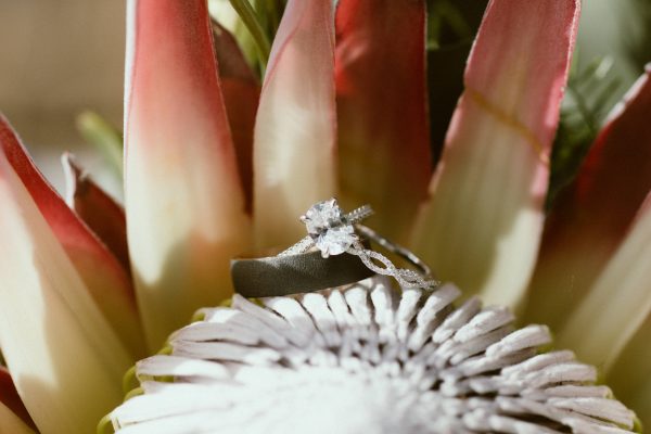 stephanie-wood-photography-dt-chicago-elopement-9831