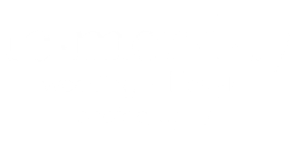 temerity logo for web2