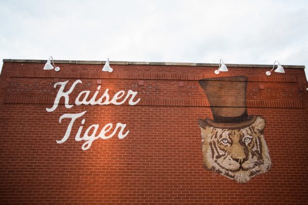 Casual Chicago Wedding Kaiser Tiger (47)