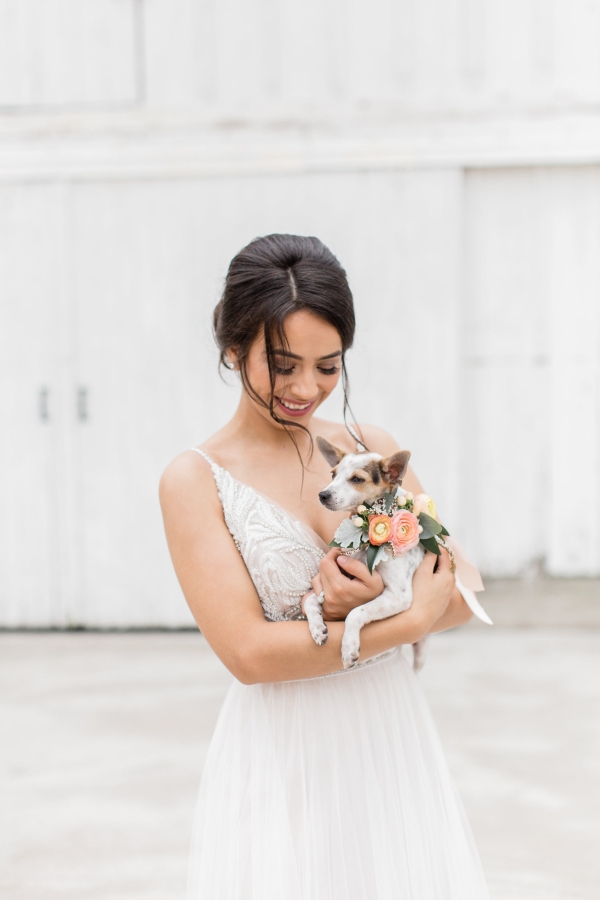 Bride with Puppy