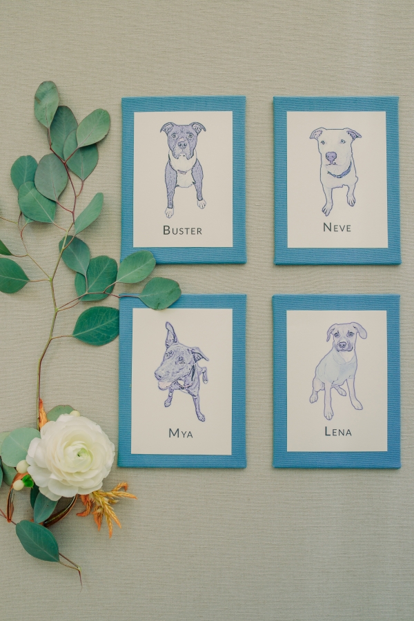 Wedding Inspiration with Adoptable Dogs (1)