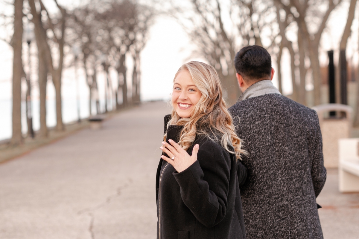 Surprise Proposal in Olive Park Chicago