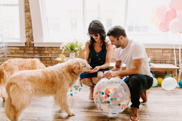 Chicago Party Ideas with Golden Retrievers (20)