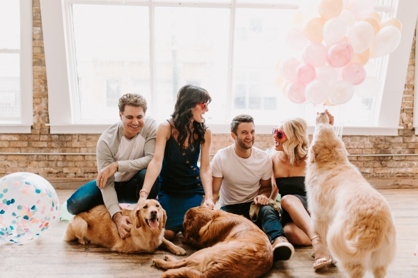 Chicago Party Ideas with Golden Retrievers (21)