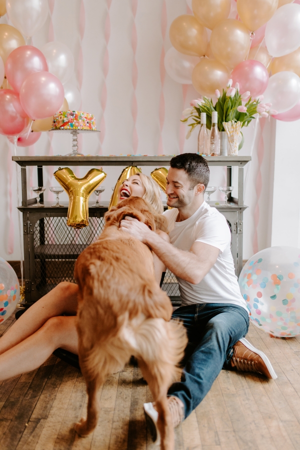 Chicago Party Ideas with Golden Retrievers (3)