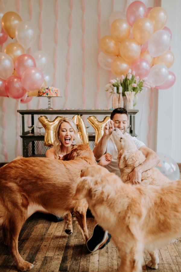 Chicago Party Ideas with Golden Retrievers (8)
