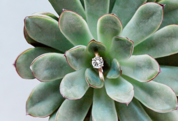Clean Origin Jewelry Lookbook Lakeshore in Love (37)
