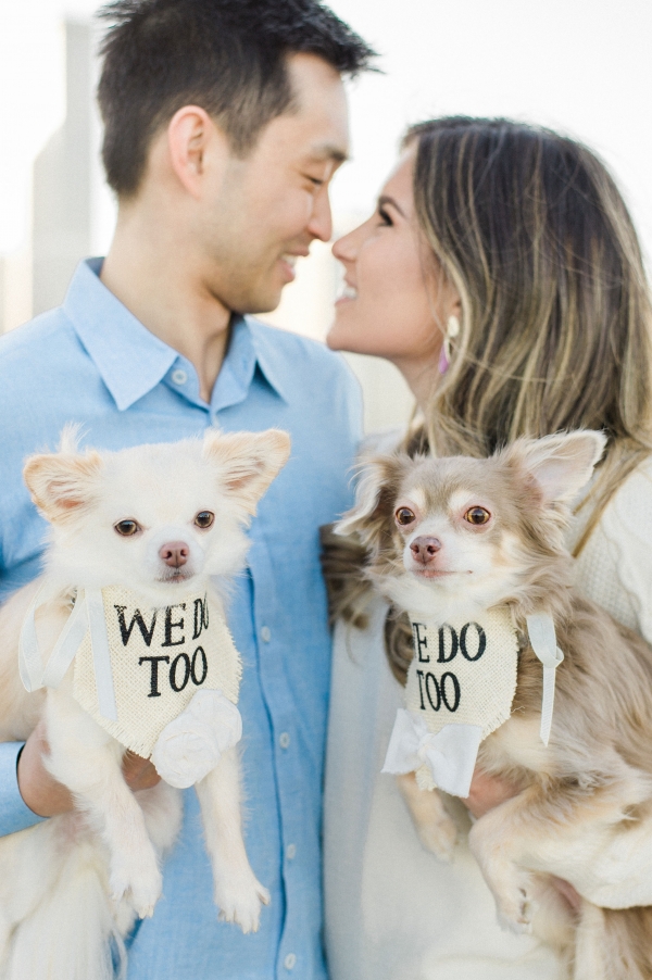 Olive Park Engagement Session with Puppies Nicole Jansma (3)