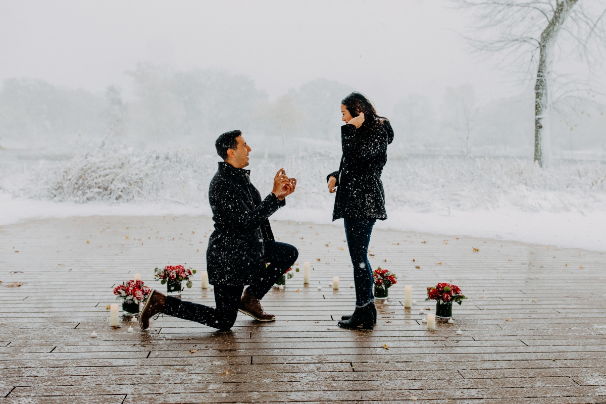 Snowy Chicago Proposal at Lincoln Park Zoo