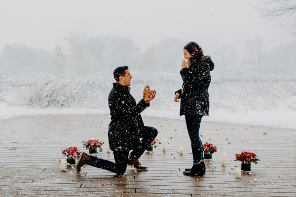 Snowy Chicago Proposal at Lincoln Park Zoo (18)