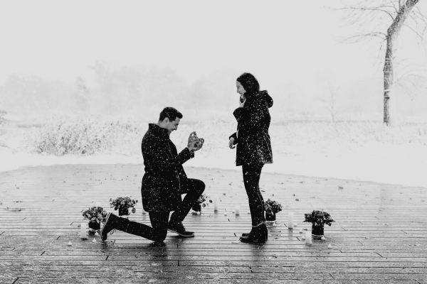 Snowy Chicago Proposal at Lincoln Park Zoo (22)