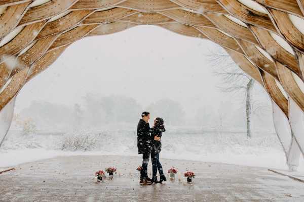 Snowy Chicago Proposal at Lincoln Park Zoo (48)