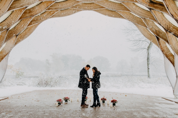 Snowy Chicago Proposal at Lincoln Park Zoo (49)