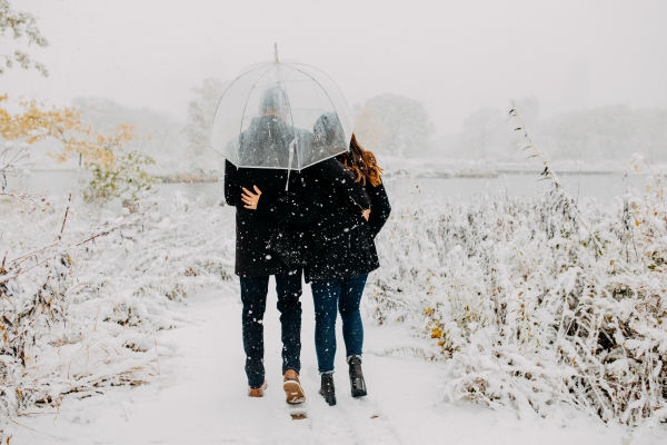 Snowy Chicago Proposal at Lincoln Park Zoo