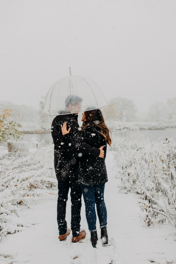 Snowy Chicago Proposal at Lincoln Park Zoo (61)