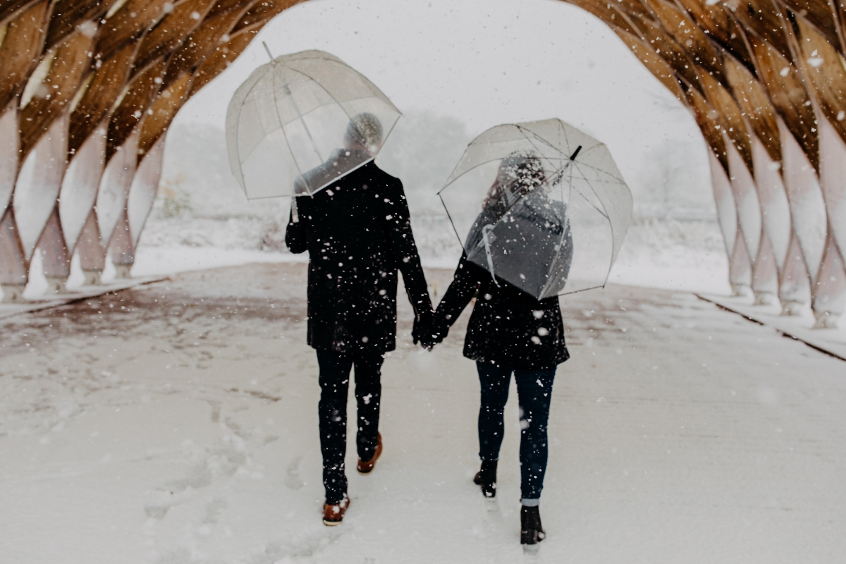 Snowy Chicago Proposal at Lincoln Park Zoo 
