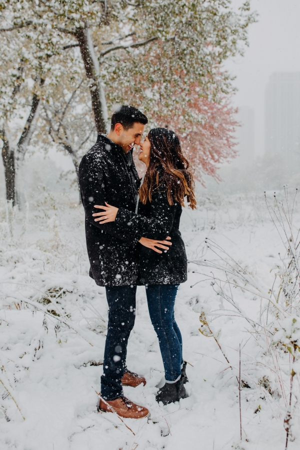 Snowy Chicago Proposal at Lincoln Park Zoo (75)