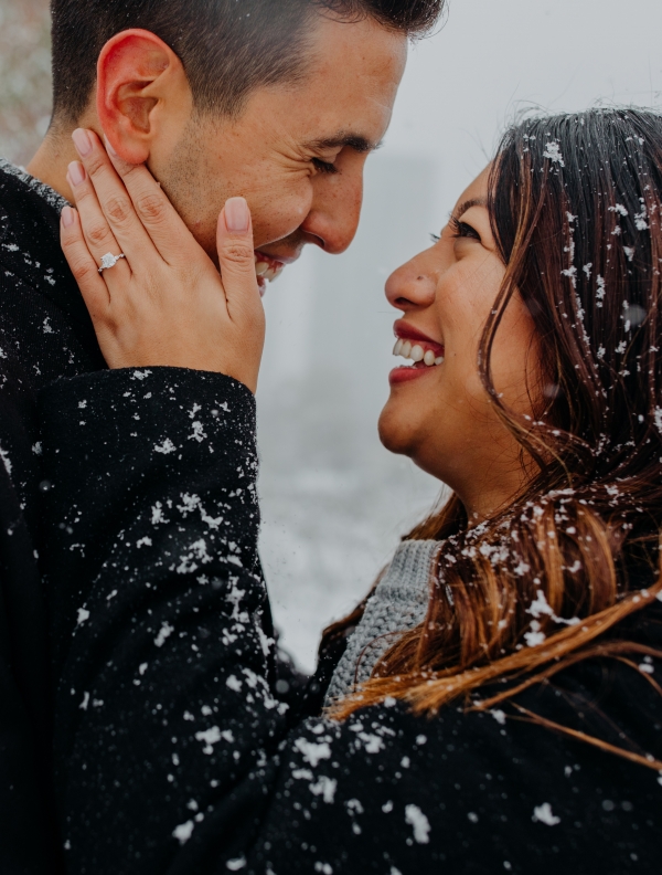Snowy Chicago Proposal at Lincoln Park Zoo (93)