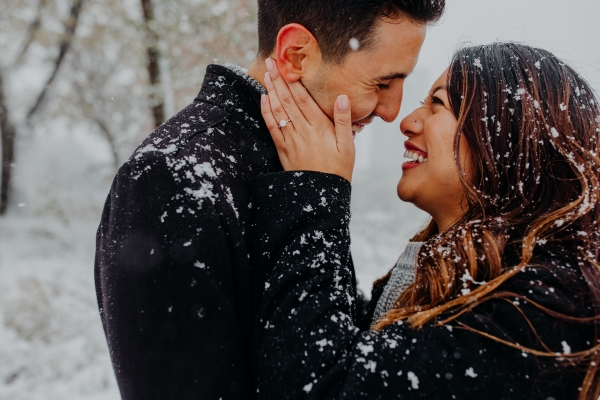Snowy Chicago Proposal at Lincoln Park Zoo (95)