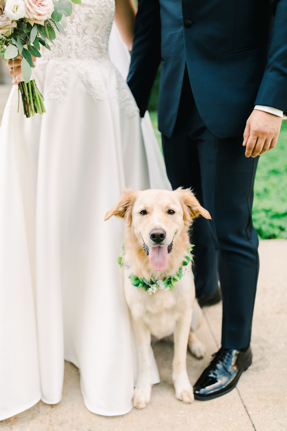 chicago-wedding-bride-groom-dog