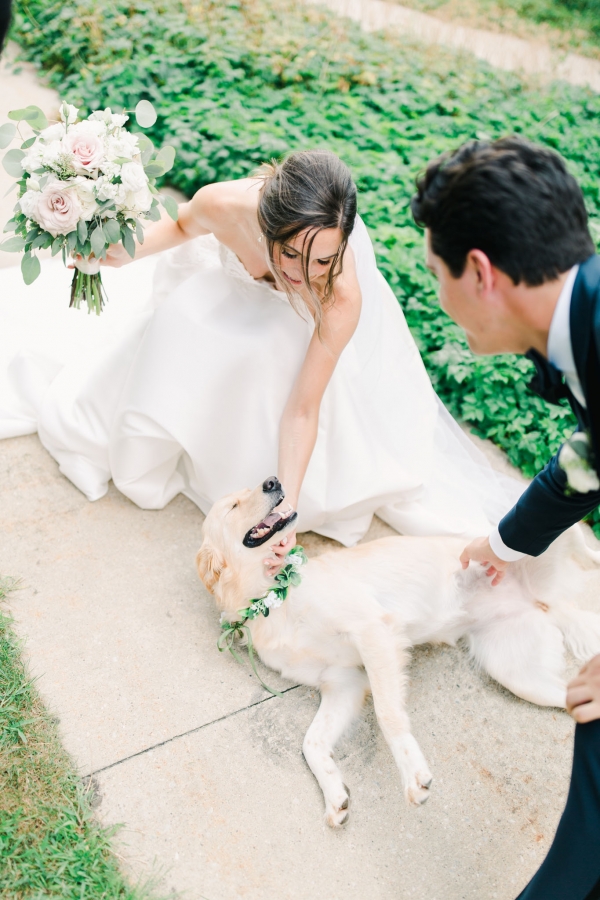 chicago-wedding-bride-groom-dog